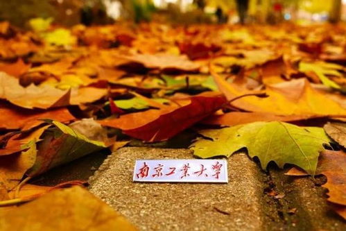 南京工業大學 百廿育才，鑄就科技與產業輝煌——慶祝建校119周年