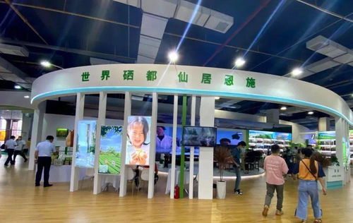 建南多款產品閃耀硒博會，舞今信息引領科技新風尚